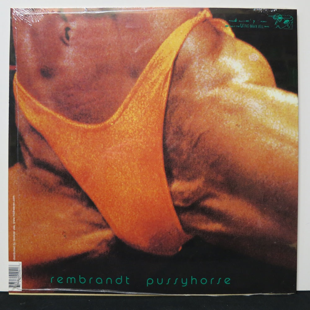 BUTTHOLE SURFERS 'Rembrandt Pussyhorse' Vinyl LP